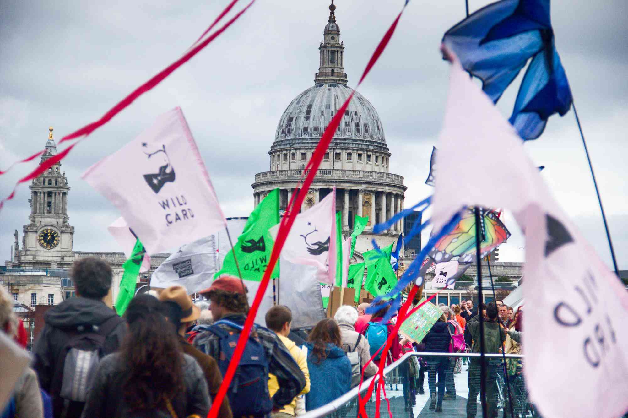 Singing flash mob descends on St. Paul’s Cathedral to demand the Church protects nature