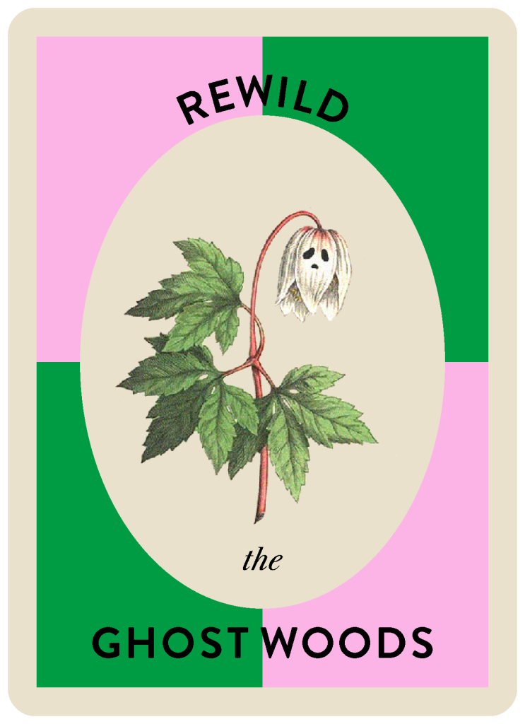 Rewild the Ghost Woods