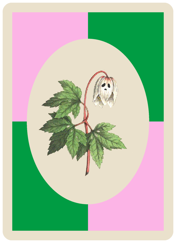 Our Rewild The Ghost Woods campaign logo is in a playing card format with a green and pink checked background. Central, in an oval, is drawing of a wood anemone. Its drooping white flower resembles a ghost shape, emphasised by us drawing eyes on it.