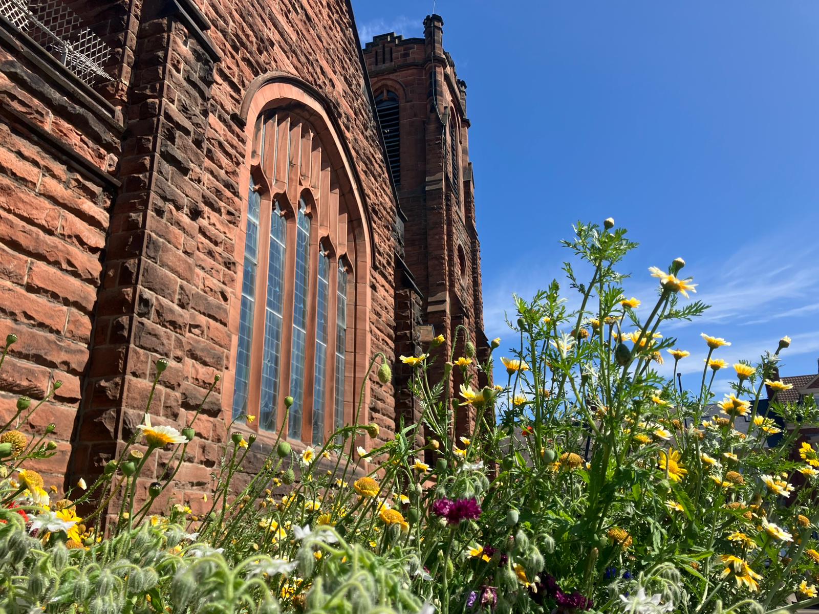 Church communities rewilding together